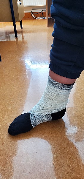 t_20250220_130445.jpg