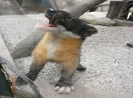 Školní výlet – ZOO Olomouc