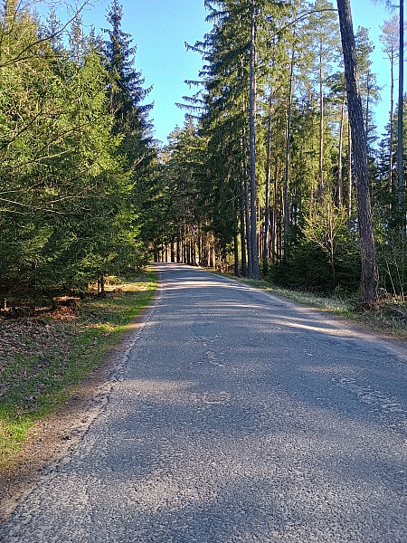 t_IMG_20250404_094450777_HDR.jpg